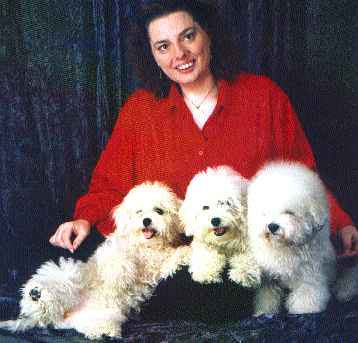Bichon frisè - Züchteradressen auf der Züchterliste bei rassehunde.de