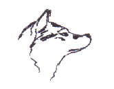 Tschechoslowakischer Wolfshund