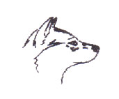 Wolfshunde