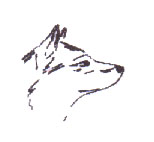 tschechische Hunde